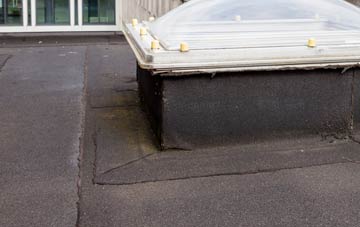 disadvantages of East Dean flat roofs
